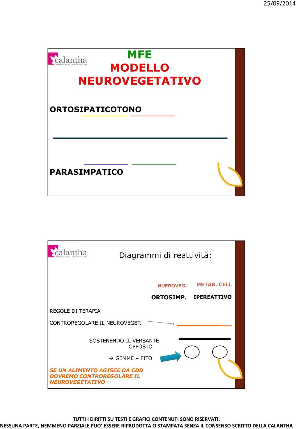 CELL IPEREATTIVO REGOLE DI TERAPIA CONTROREGOLARE IL NEUROVEGET.