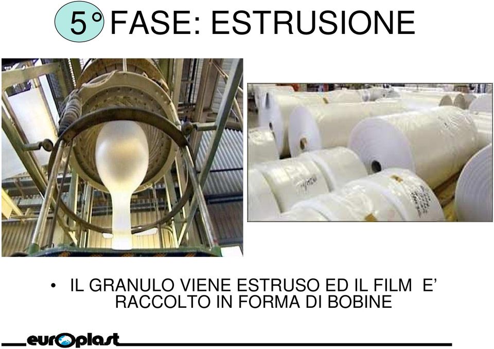 ESTRUSO ED IL FILM E