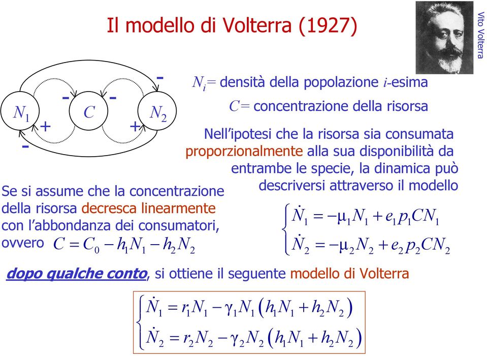 proporzionalmente alla sua disponibilità da entrambe le specie, la dinamica può descriversi attraverso il modello N = µ N+ epcn N = µ N + e p CN