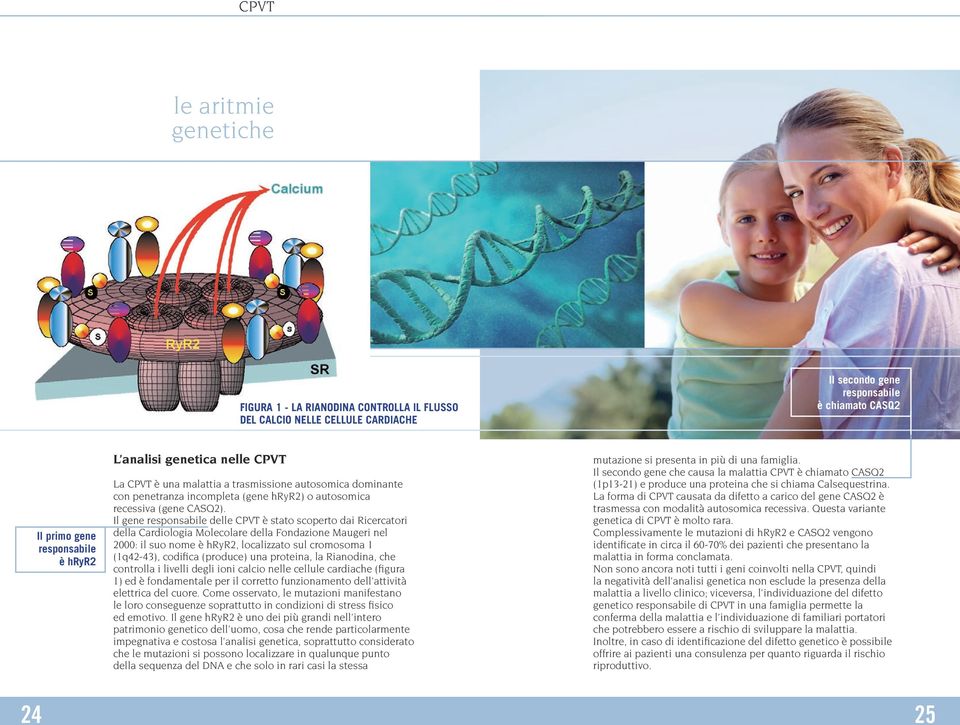 Il gene responsabile delle CPVT è stato scoperto dai Ricercatori della Cardiologia Molecolare della Fondazione Maugeri nel 2000: il suo nome è hryr2, localizzato sul cromosoma 1 (1q42-43), codifica