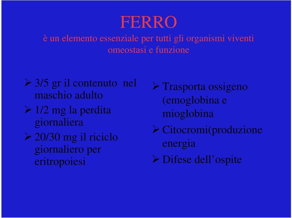 giornaliera 20/30 mg il riciclo giornaliero per eritropoiesi Trasporta