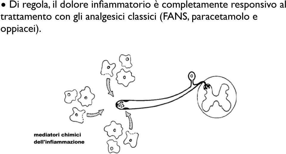 gli analgesici classici (FANS, paracetamolo