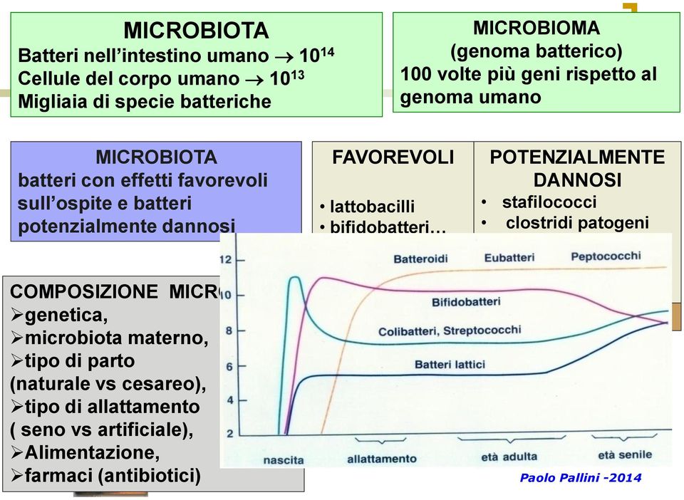 materno, tipo di parto (naturale vs cesareo), tipo di allattamento ( seno vs artificiale), Alimentazione, farmaci (antibiotici) FAVOREVOLI lattobacilli