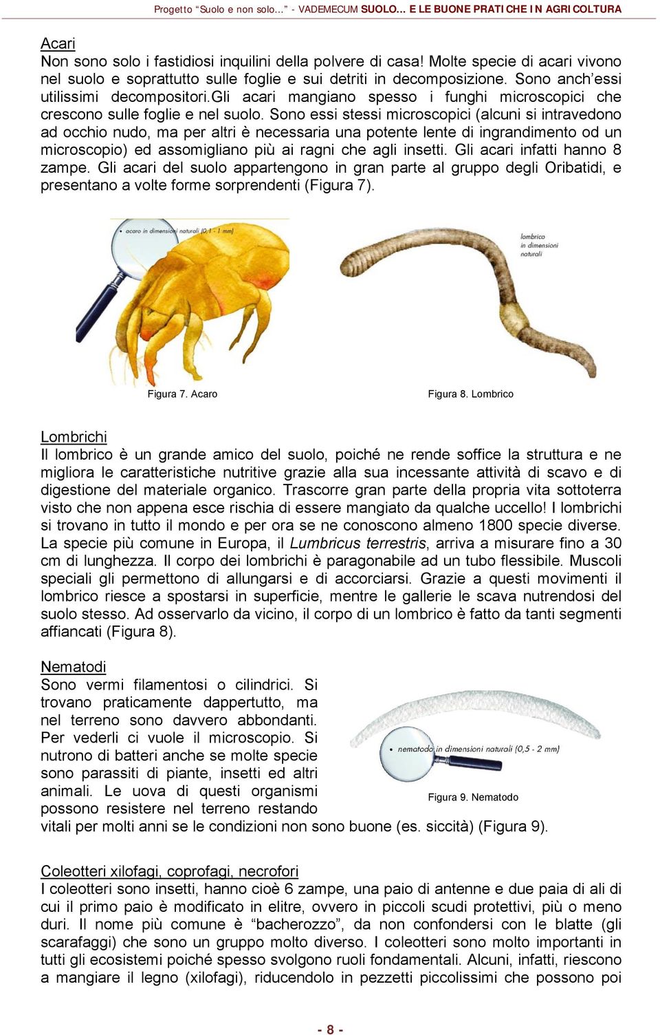 Sono essi stessi microscopici (alcuni si intravedono ad occhio nudo, ma per altri è necessaria una potente lente di ingrandimento od un microscopio) ed assomigliano più ai ragni che agli insetti.