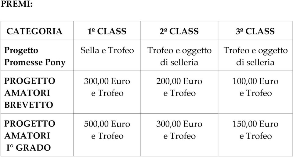 selleria PROGETTO AMATORI BREVETTO 300,00 Euro 200,00 Euro