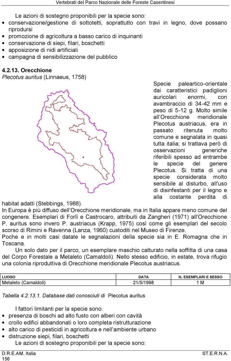 Orecchione Plecotus auritus (Linnaeus, 1758) Specie paleartico-orientale dai caratteristici padiglioni auricolari enormi, con avambraccio di 34-42 mm e peso di 5-12 g.