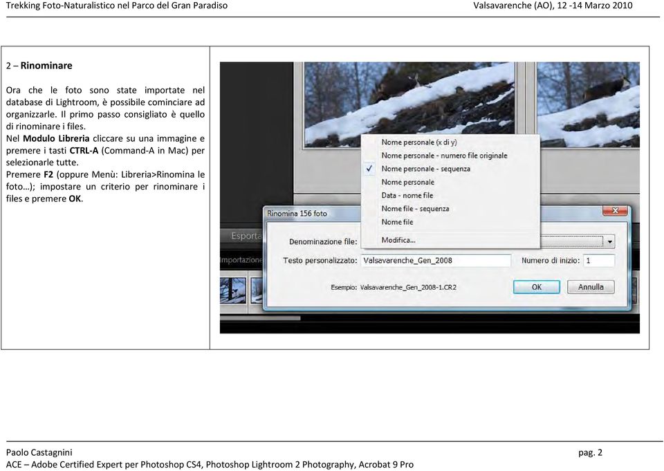 Nel Modulo Libreria cliccare su una immagine e premere i tasti CTRL A (Command A in Mac) per selezionarle