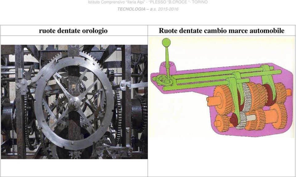 dentate cambio