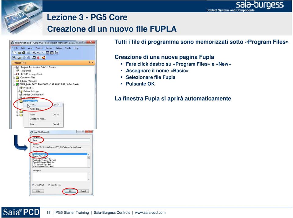 Files» e «New» Assegnare il nome «Basic» Selezionare file Fupla Pulsante OK La