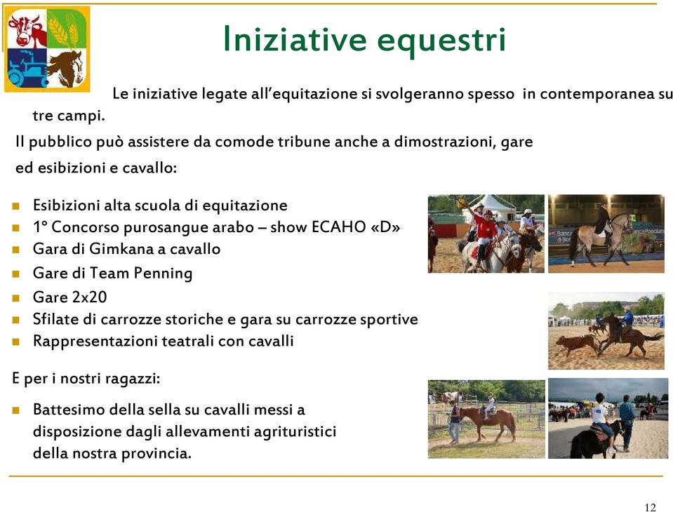 Concorso purosangue arabo show ECAHO «D» Gara di Gimkana a cavallo Gare di Team Penning Gare 2x20 Sfilate di carrozze storiche e gara su