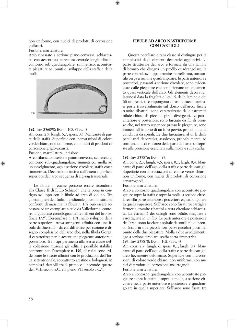 e della molla. 192 192. Inv. 236098; BG n. 108. (Tav. 4) Alt. cons. 2,5; lungh. 5,7; spess. 0,3. Mancante di parte della staffa.