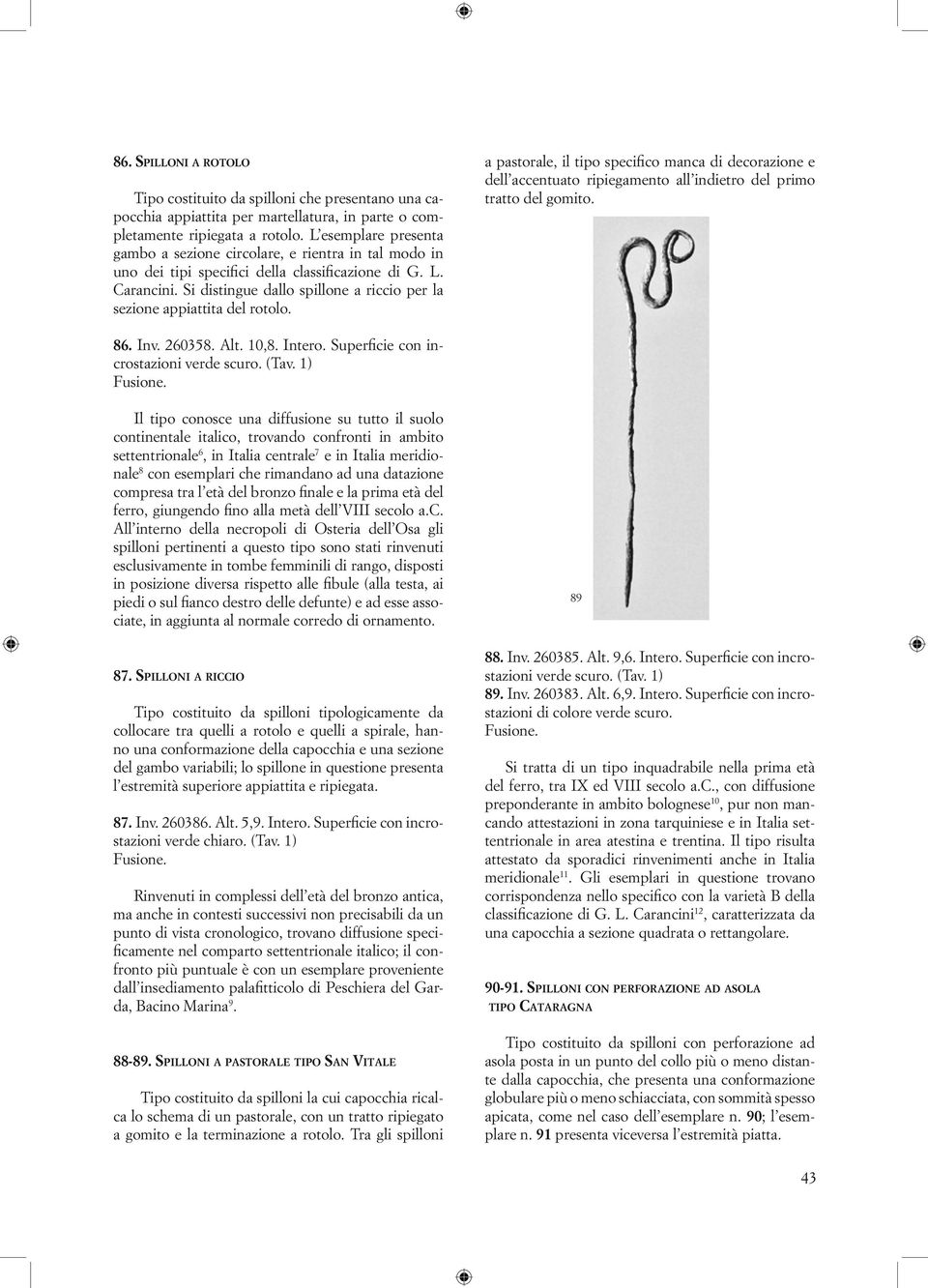 Si distingue dallo spillone a riccio per la sezione appiattita del rotolo. a pastorale, il tipo specifico manca di decorazione e dell accentuato ripiegamento all indietro del primo tratto del gomito.