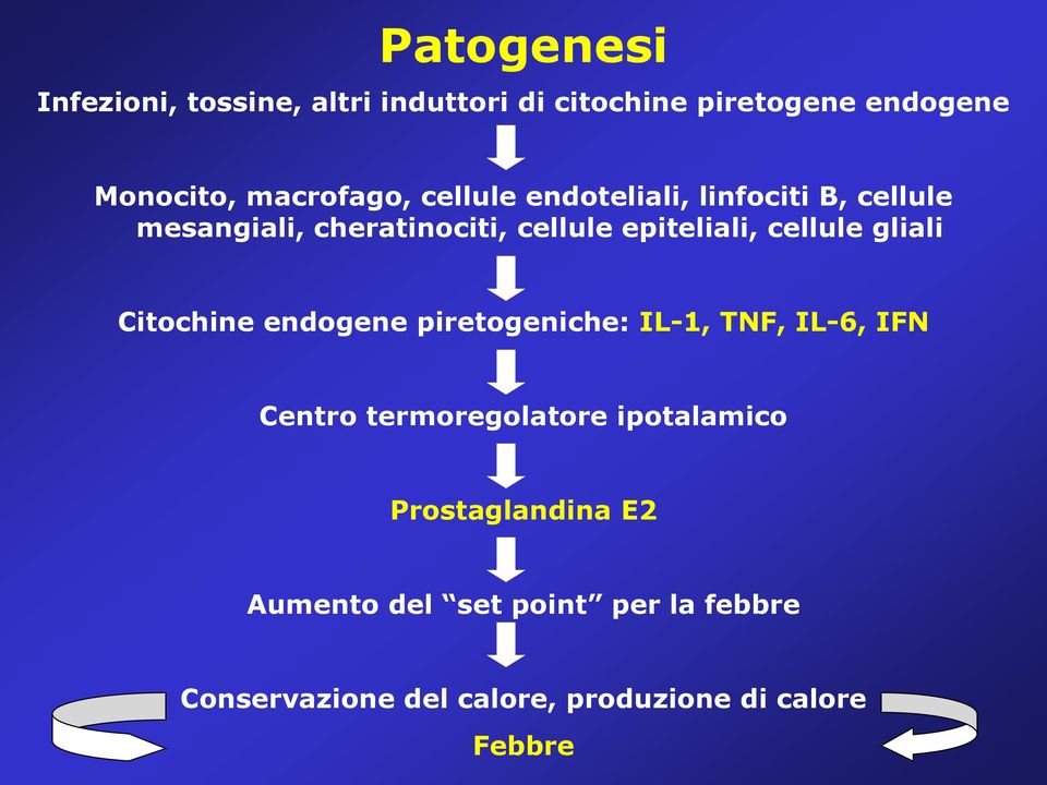 gliali Citochine endogene piretogeniche: IL-1, TNF, IL-6, IFN Centro termoregolatore ipotalamico