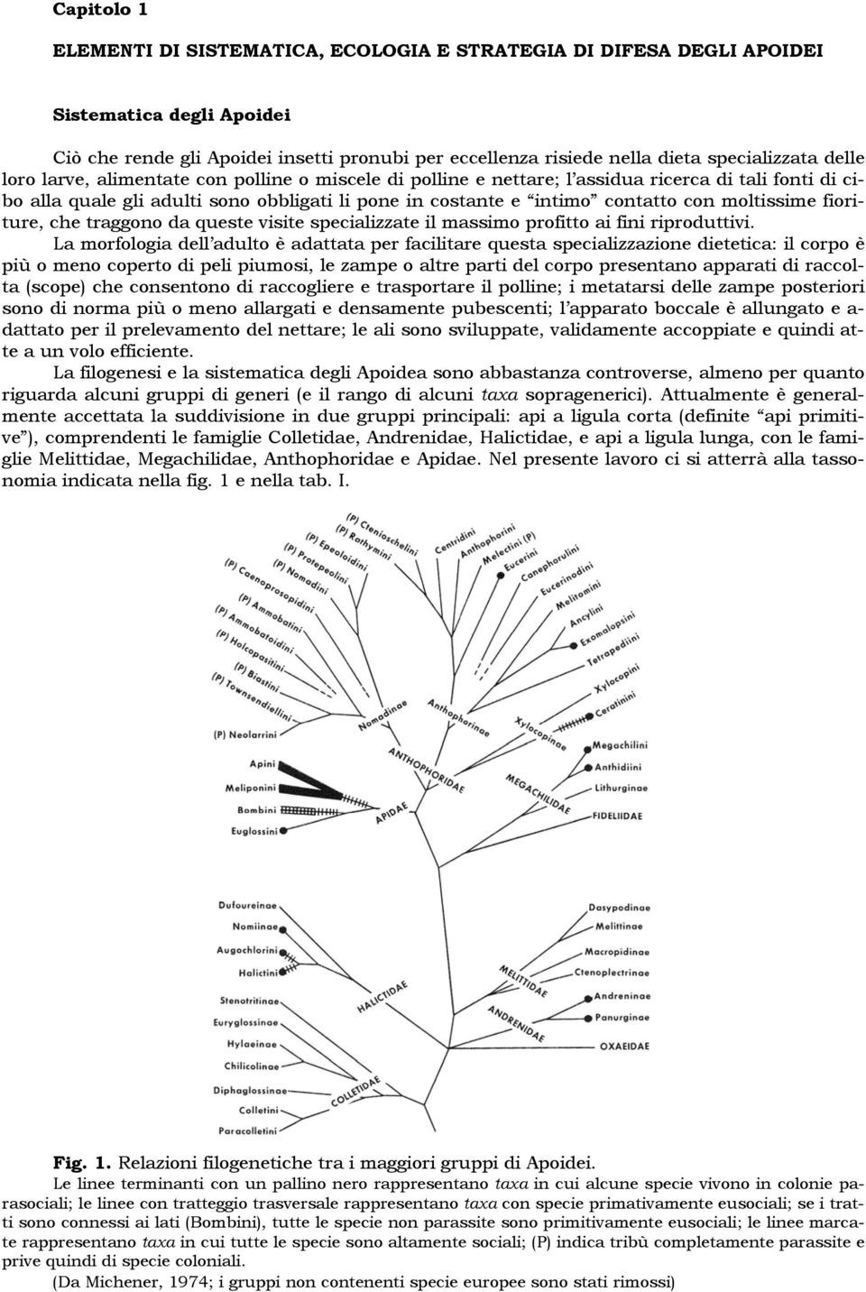 moltissime fioriture, che traggono da queste visite specializzate il massimo profitto ai fini riproduttivi.