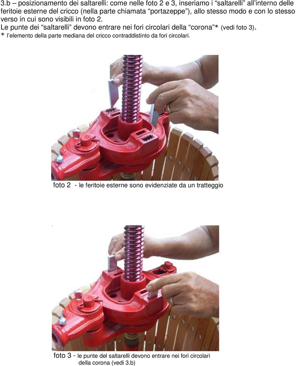 Le punte dei saltarelli devono entrare nei fori circolari della corona * (vedi foto 3).