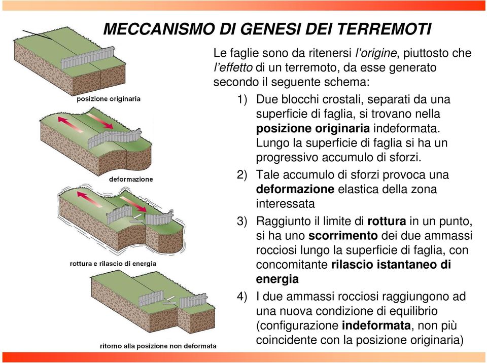 2) Tale accumulo di sforzi provoca una deformazione elastica della zona interessata 3) Raggiunto il limite di rottura in un punto, si ha uno scorrimento dei due ammassi rocciosi lungo la