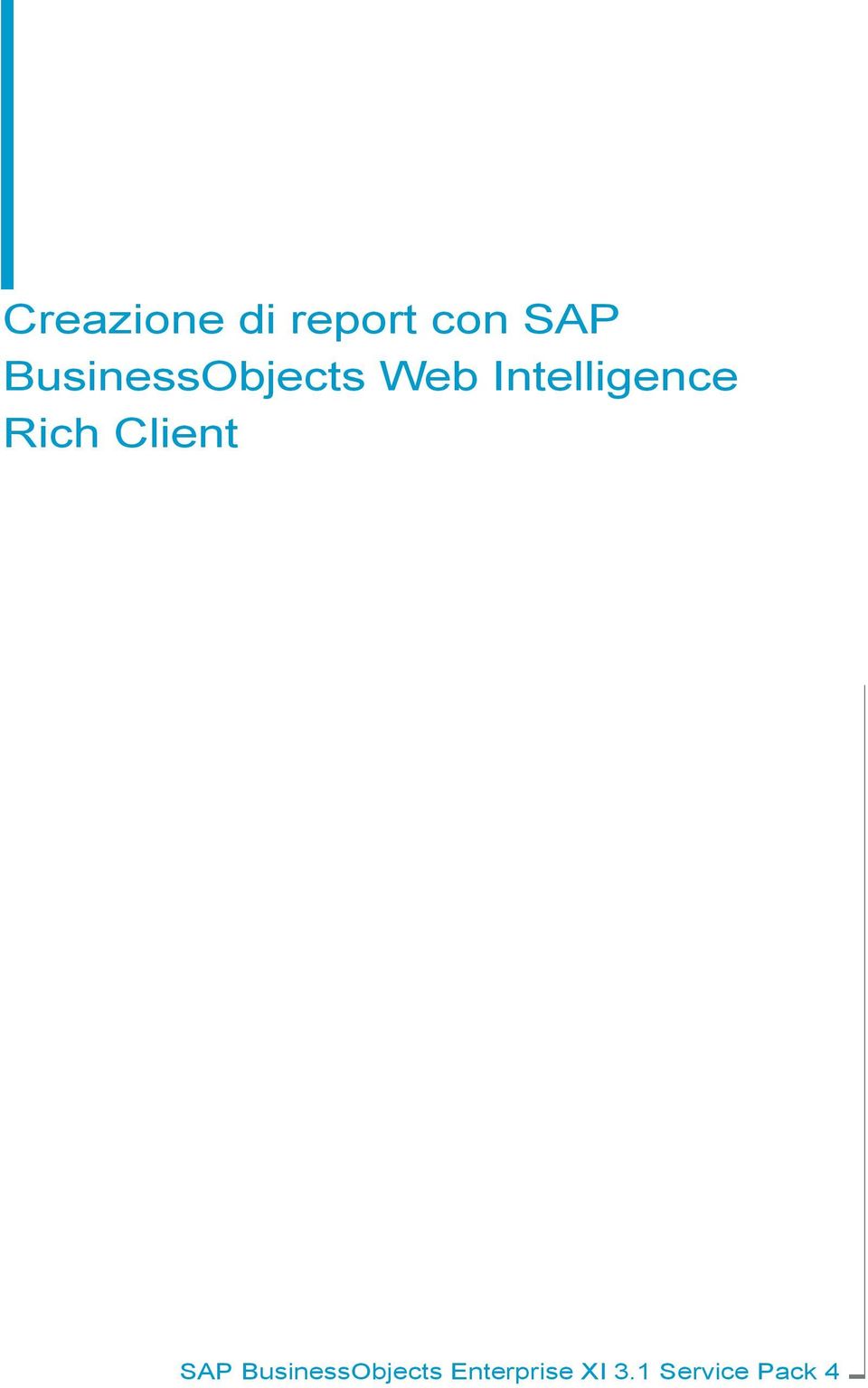 Intelligence Rich Client SAP
