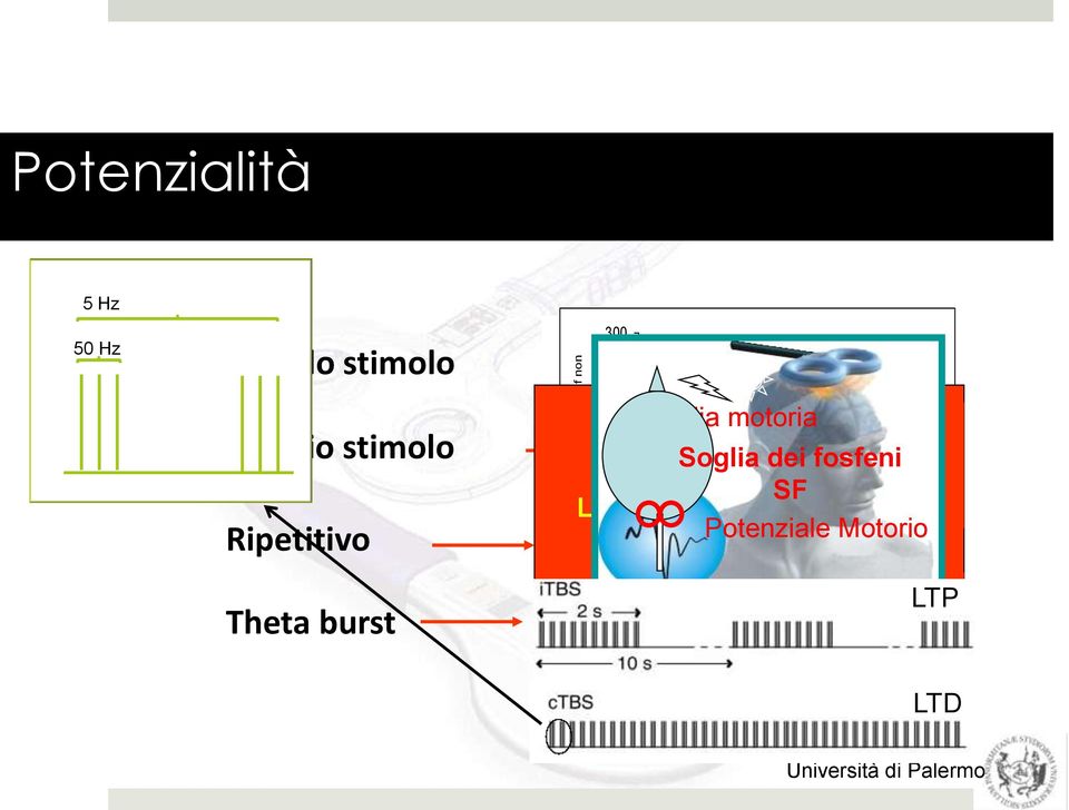 ms Soglia dei fosfeni Facilitazione SF Potenziale Motorio Long 50 Term Potentiation LTP 0 2