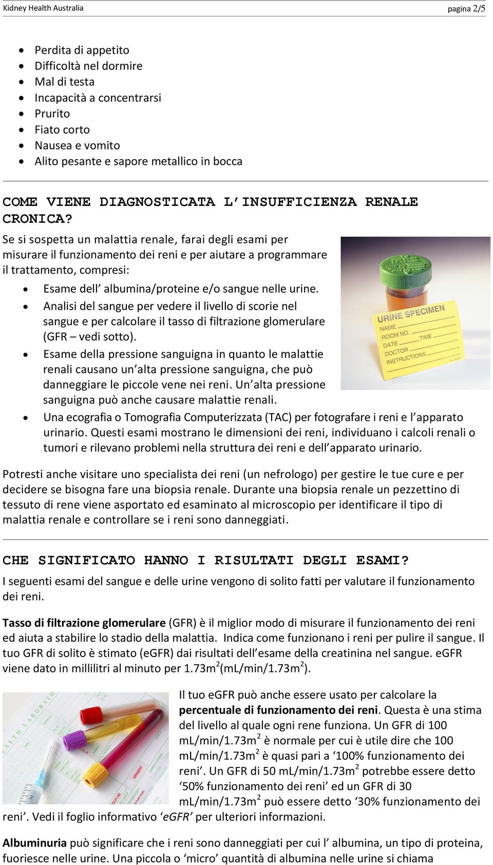 Se si sospetta un malattia renale, farai degli esami per misurare il funzionamento dei reni e per aiutare a programmare il trattamento, compresi: Esame dell albumina/proteine e/o sangue nelle urine.