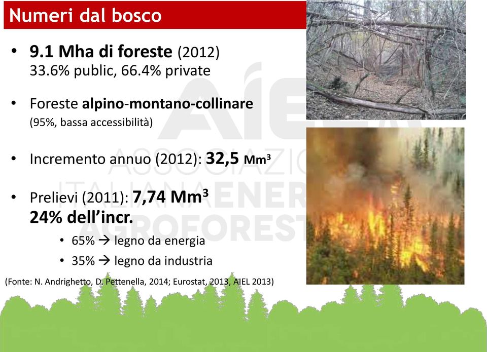 Incremento annuo (2012): 32,5 Mm 3 Prelievi (2011): 7,74 Mm 3 24% dell incr.