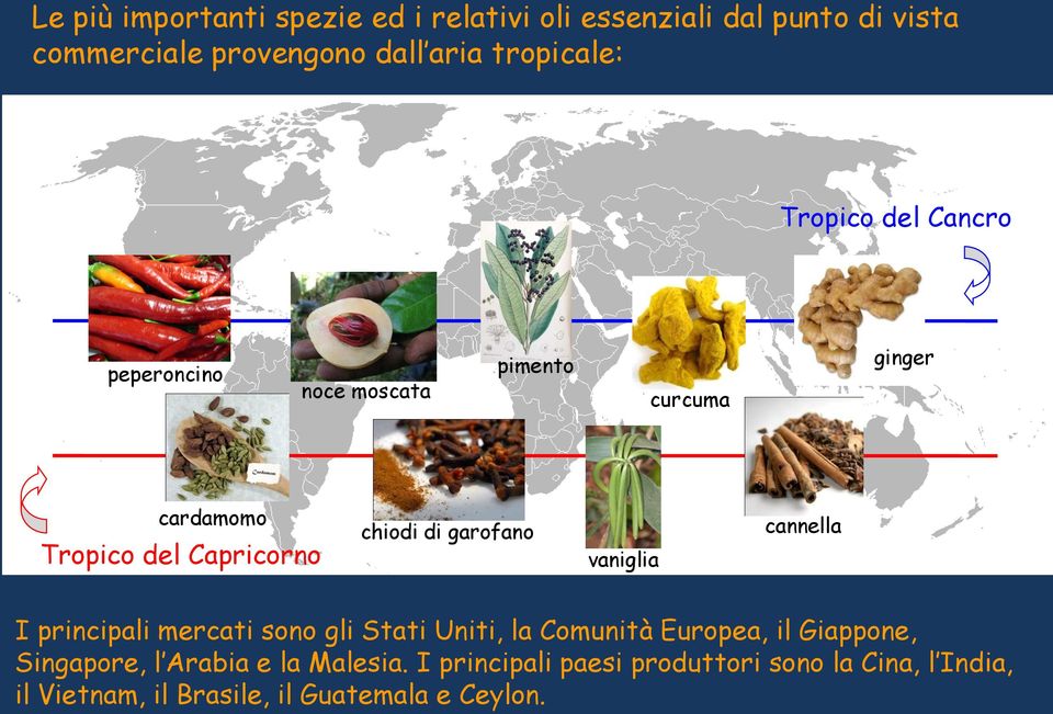 chiodi di garofano vaniglia cannella I principali mercati sono gli Stati Uniti, la Comunità Europea, il Giappone,