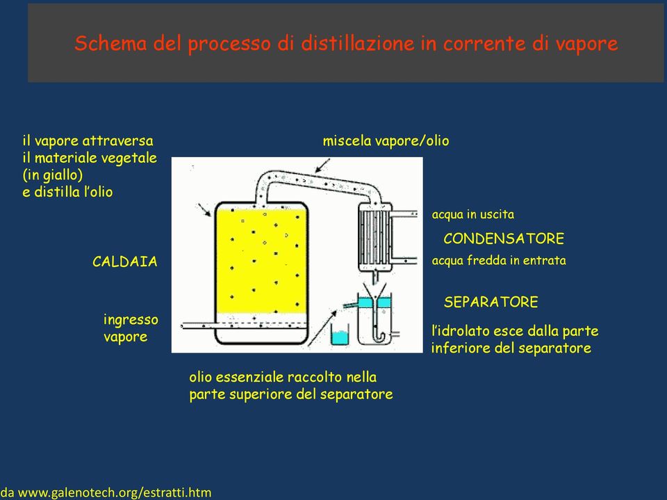 acqua fredda in entrata ingresso vapore SEPARATORE l idrolato esce dalla parte inferiore del