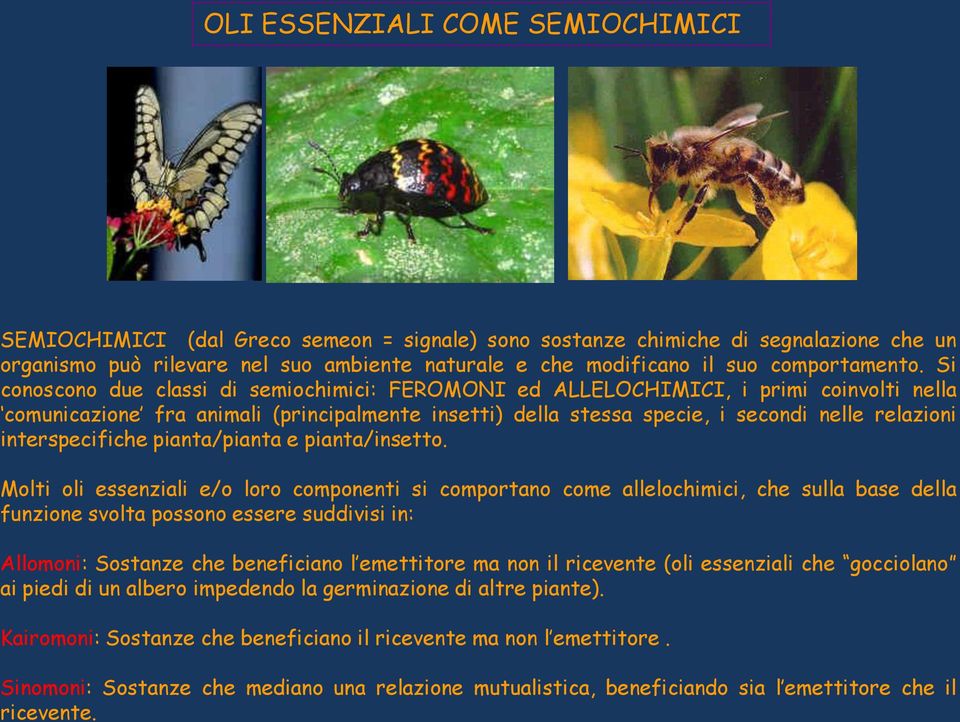 Si conoscono due classi di semiochimici: FEROMONI ed ALLELOCHIMICI, i primi coinvolti nella comunicazione fra animali (principalmente insetti) della stessa specie, i secondi nelle relazioni