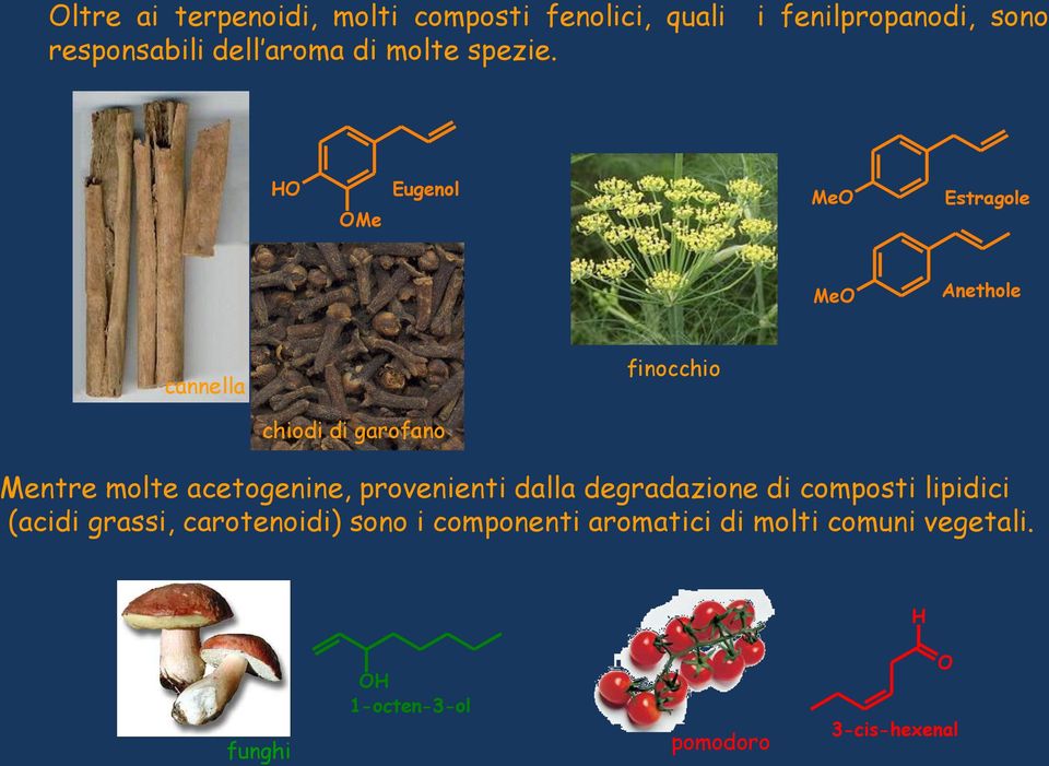 garofano Mentre molte acetogenine, provenienti dalla degradazione di composti lipidici (acidi grassi,