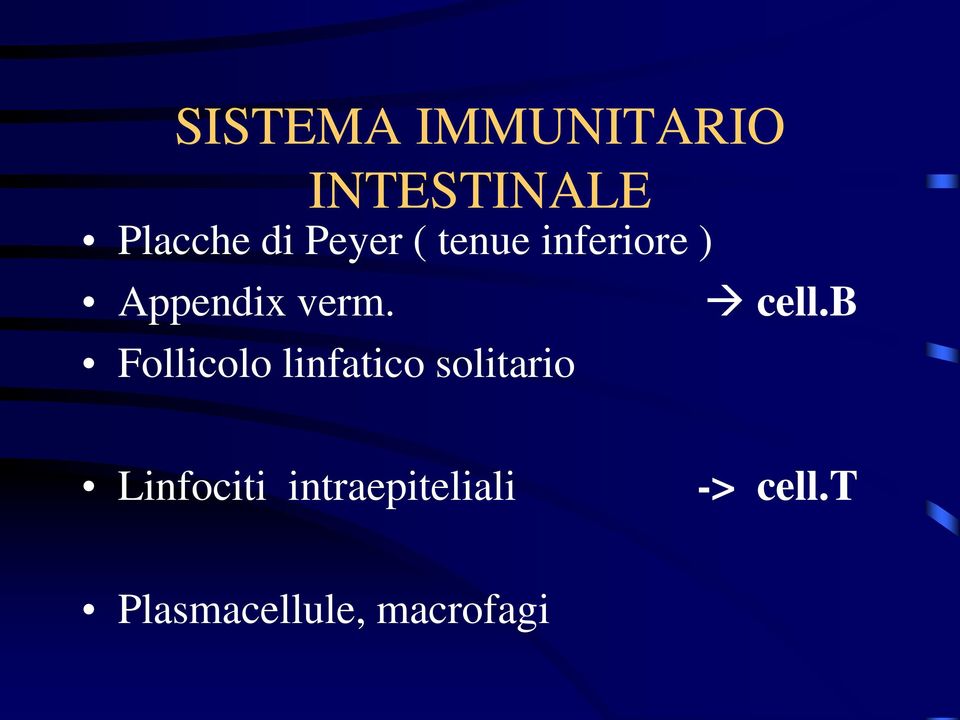 Follicolo linfatico solitario cell.