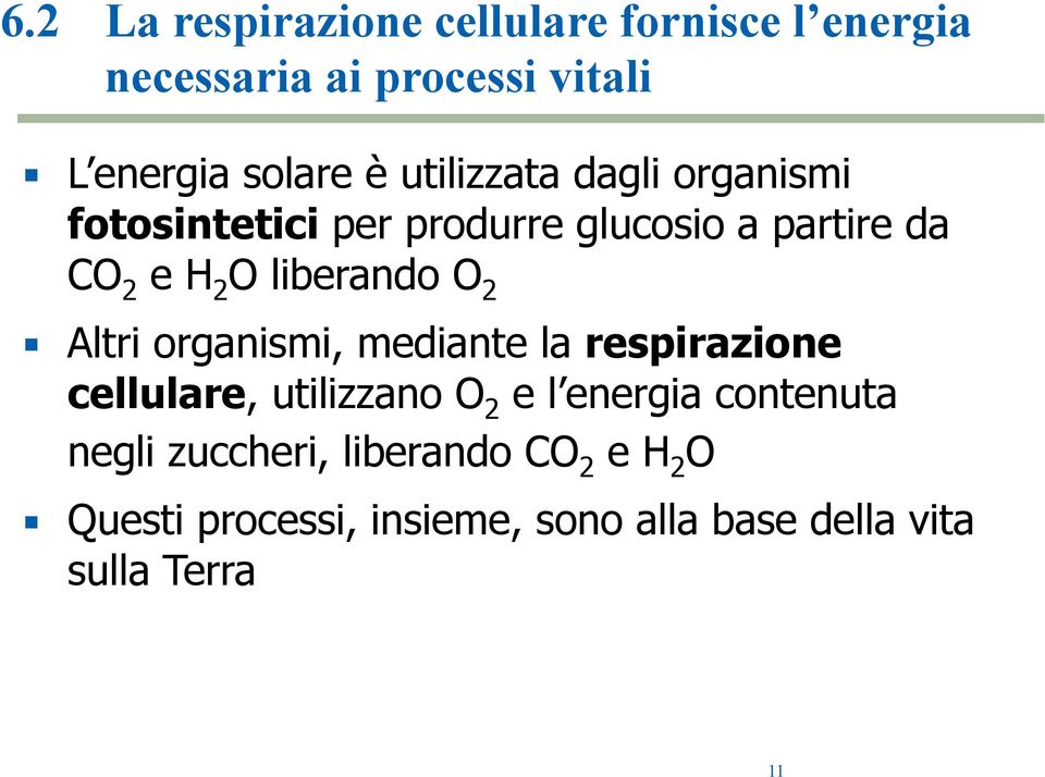 O 2 Altri organismi, mediante la respirazione cellulare, utilizzano O 2 e l energia contenuta