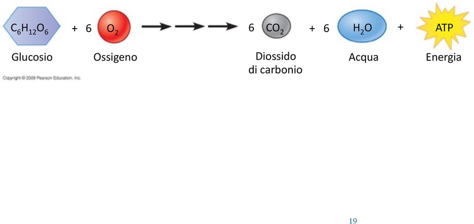 Glucosio Ossigeno