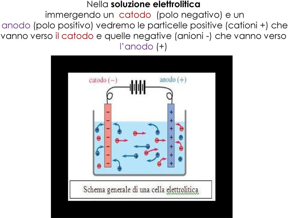 particelle positive (cationi +) che vanno verso il