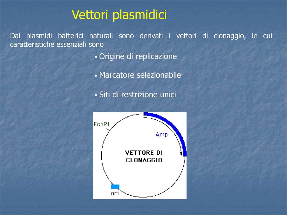 caratteristiche essenziali sono Origine di