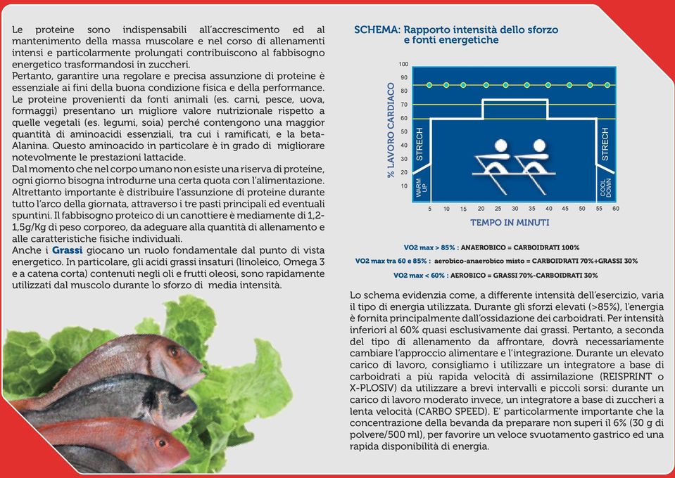 Le proteine provenienti da fonti animali (es. carni, pesce, uova, formaggi) presentano un migliore valore nutrizionale rispetto a quelle vegetali (es.