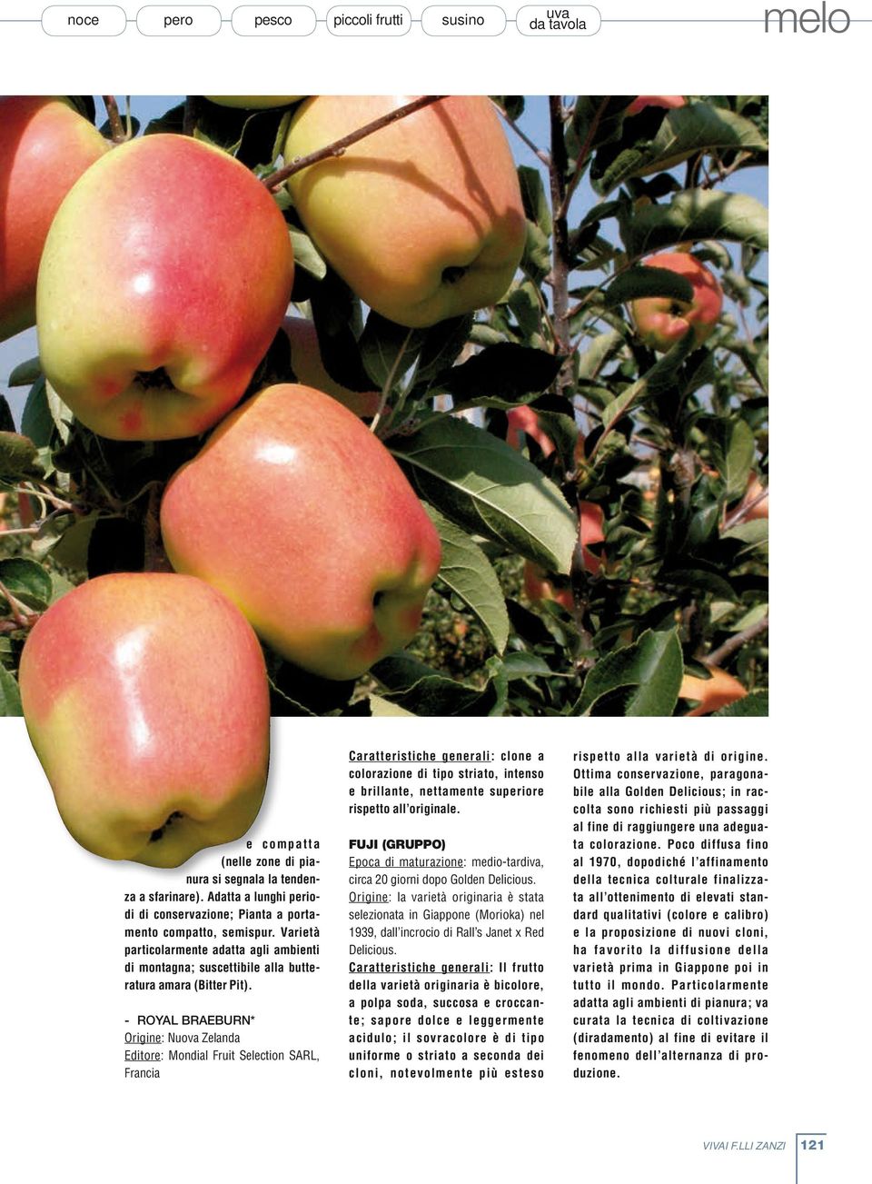 - ROYAL BRAEBURN* Origine: Nuova Zelanda Editore: Mondial Fruit Selection SARL, Francia Caratteristiche generali: clone a colorazione di tipo striato, intenso e brillante, nettamente superiore