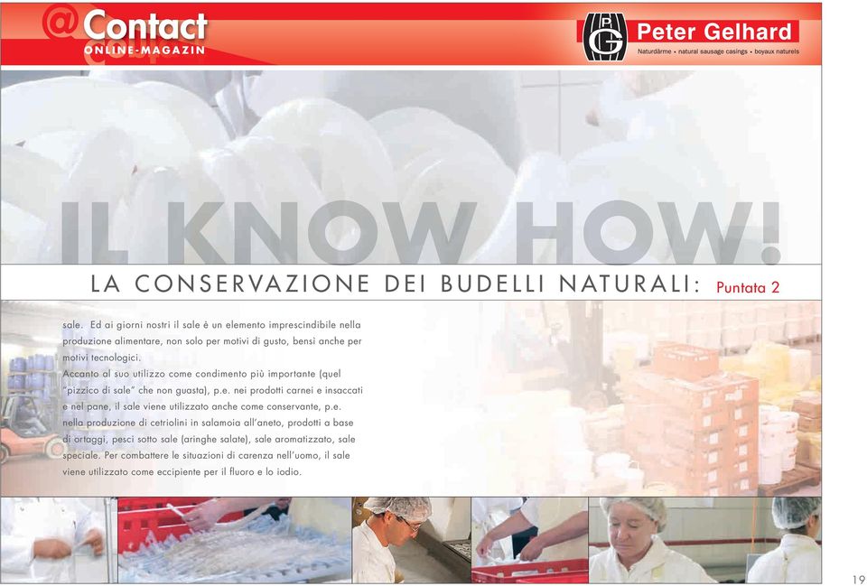 e. nella produzione di cetriolini in salamoia all aneto, prodotti a base di ortaggi, pesci sotto sale (aringhe salate), sale aromatizzato, sale speciale.