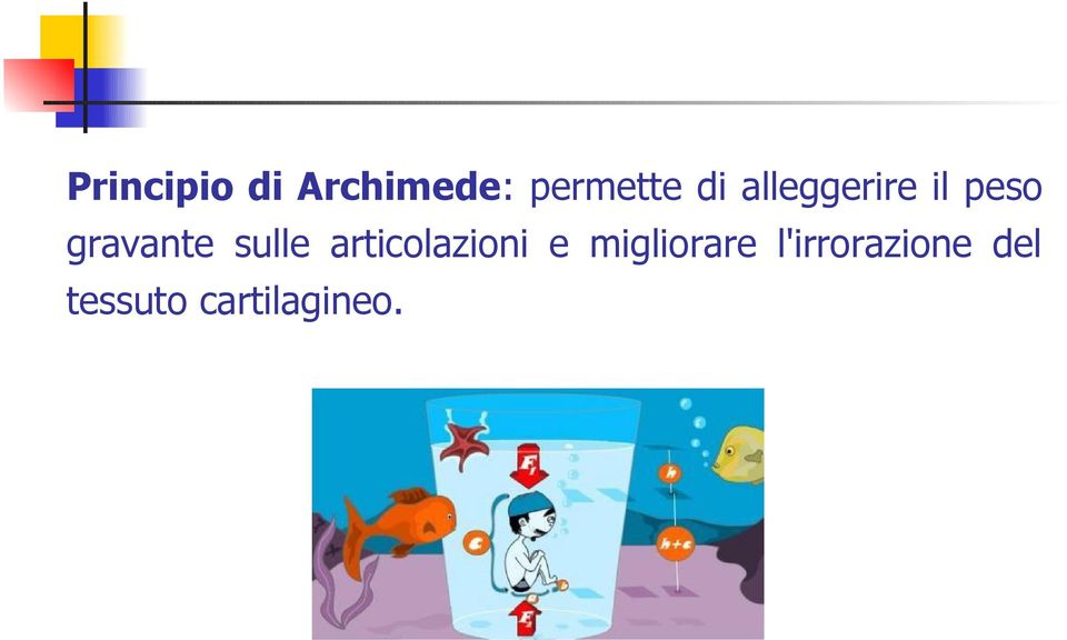 sulle articolazioni e migliorare