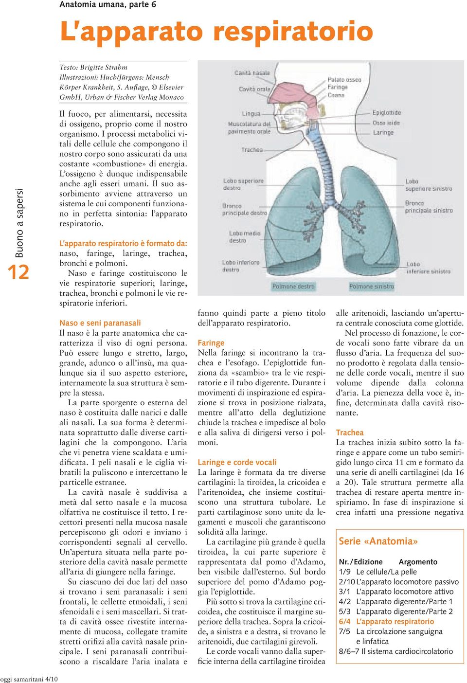 I processi metabolici vitali delle cellule che compongono il nostro corpo sono assicurati da una costante «combustione» di energia. L ossigeno è dunque indispensabile anche agli esseri umani.