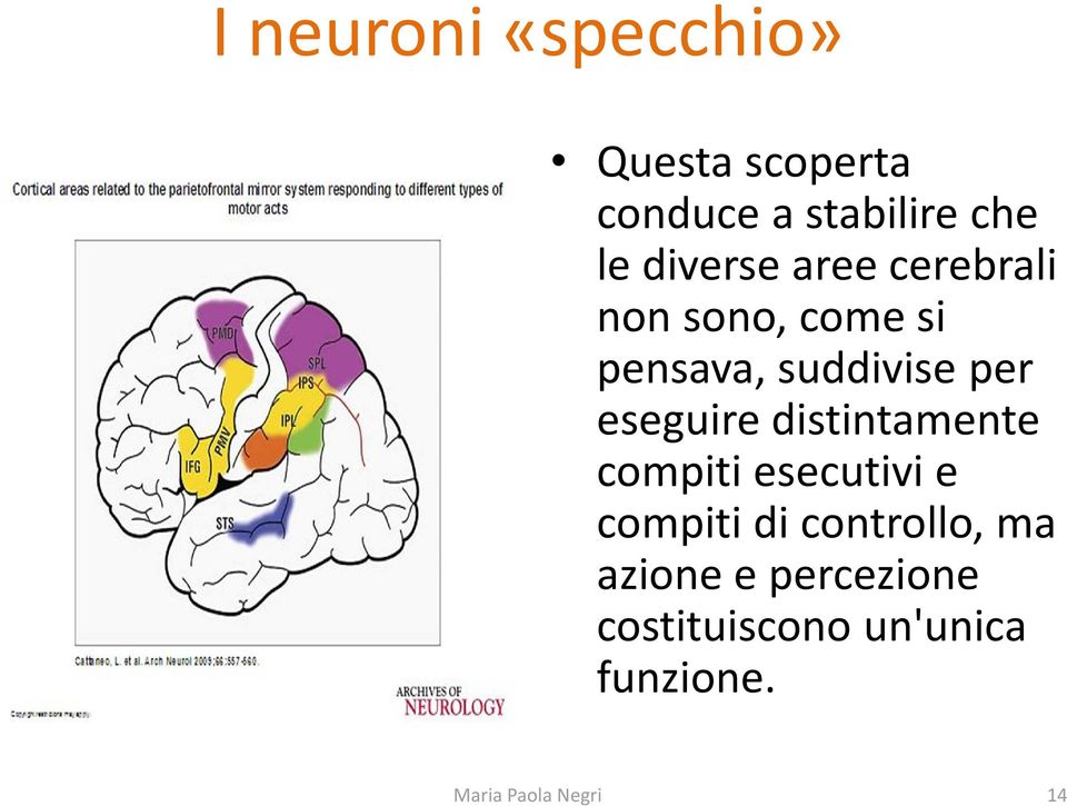 eseguire distintamente compiti esecutivi e compiti di controllo, ma