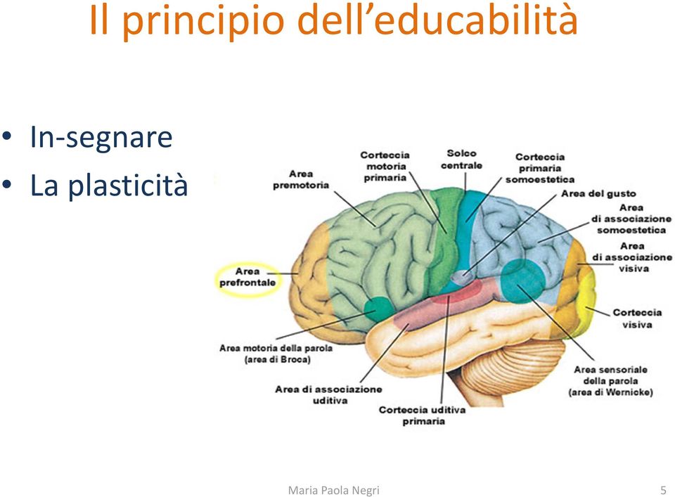 In-segnare La