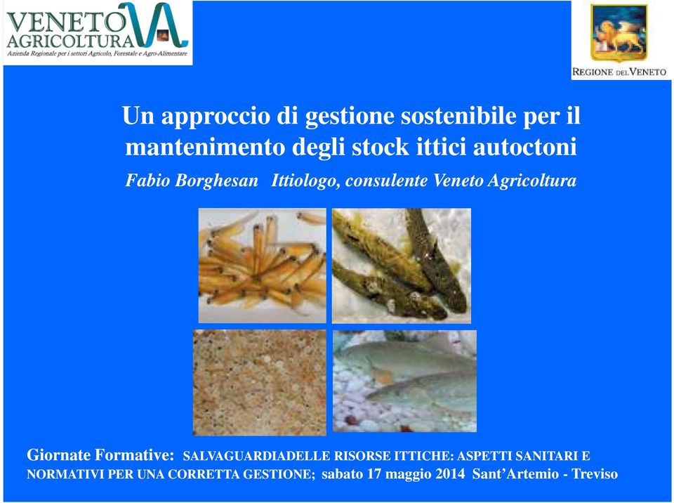 Giornate Formative: SALVAGUARDIADELLE RISORSE ITTICHE: ASPETTI SANITARI E