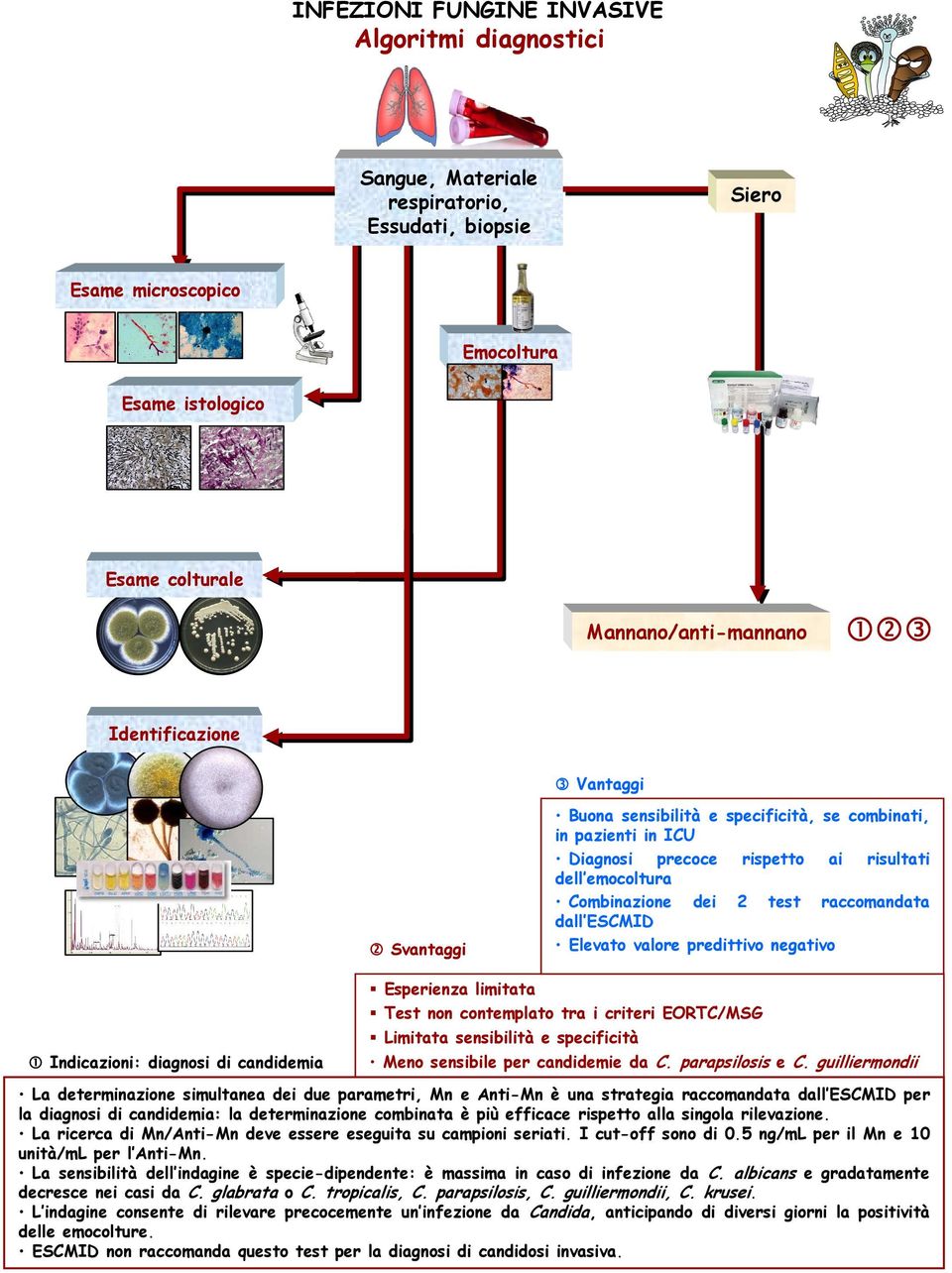 sensibilità e specificità Meno sensibile per candidemie da C. parapsilosis e C.