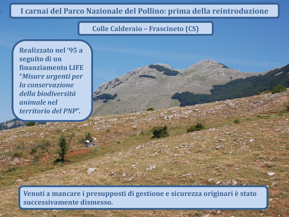 per la conservazione della biodiversità animale nel territorio del PNP.