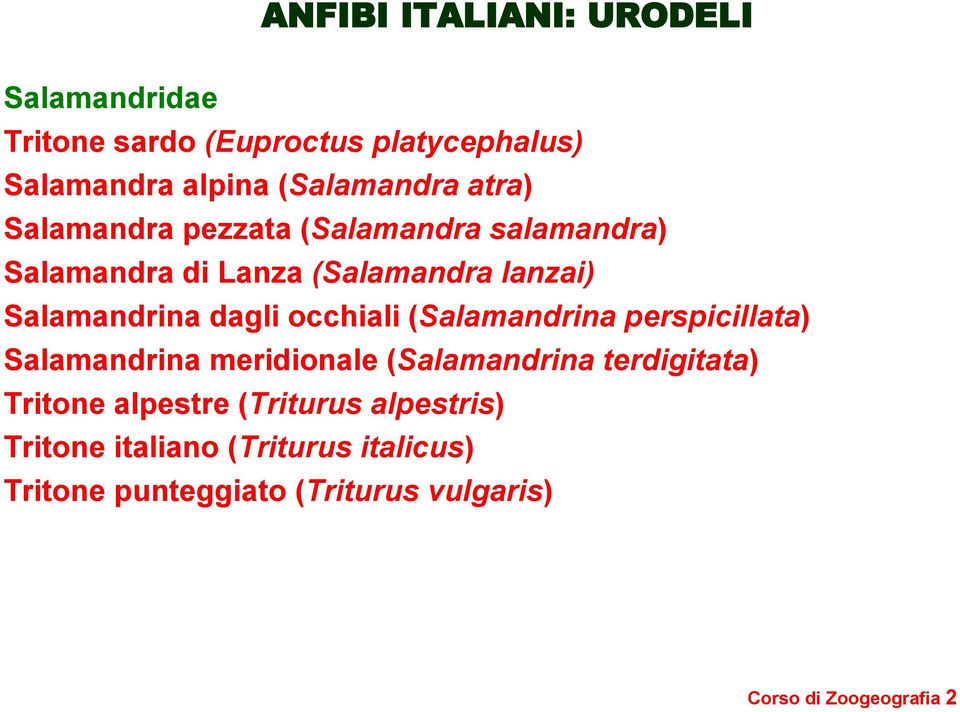 occhiali (Salamandrina perspicillata) Salamandrina meridionale (Salamandrina terdigitata) Tritone alpestre