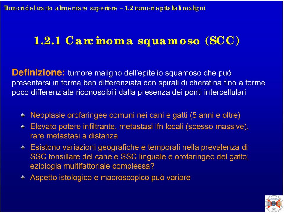 1 Carcinoma squamoso (SCC) Definizione: tumore maligno dell epitelio squamoso che può presentarsi in forma ben differenziata con spirali di cheratina fino a forme poco