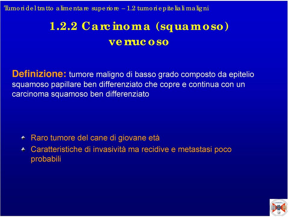 2 Carcinoma (squamoso) verrucoso Definizione: tumore maligno di basso grado composto da