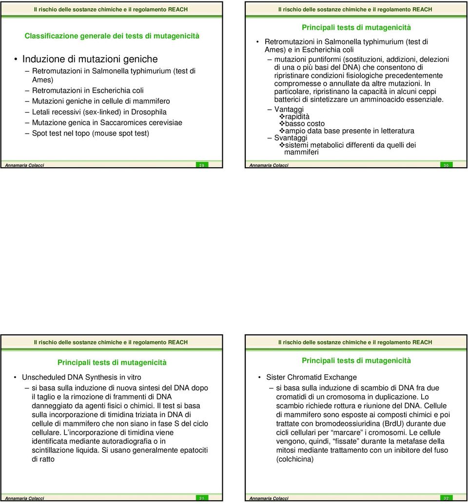 Retromutazioni in Salmonella typhimurium (test di Ames) e in Escherichia coli mutazioni puntiformi (sostituzioni, addizioni, delezioni di una o più basi del DNA) che consentono di ripristinare
