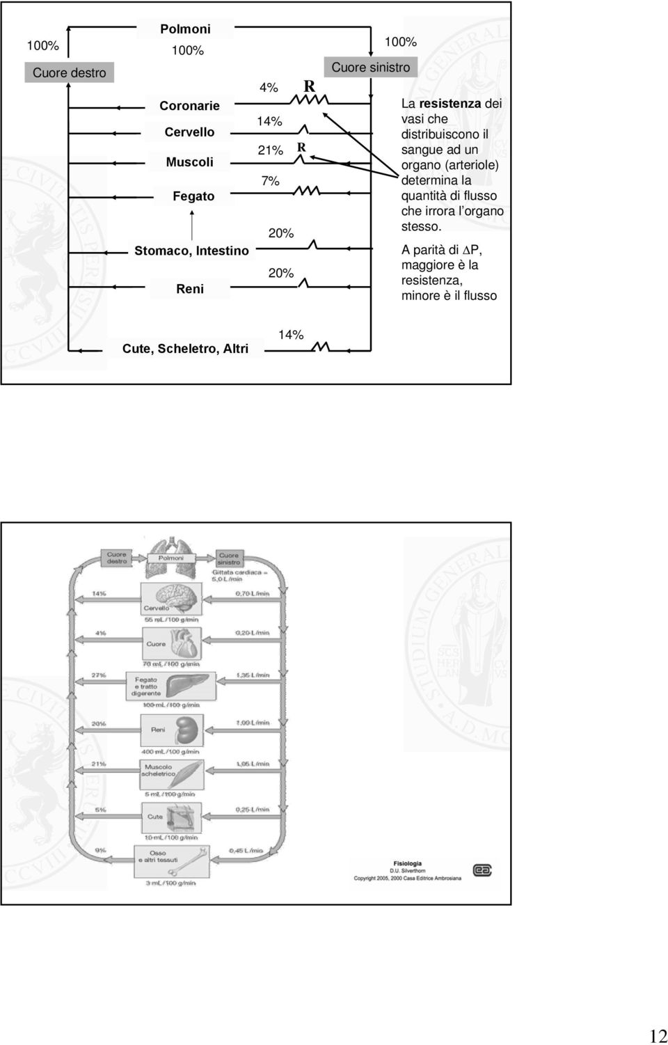 sangue ad un organo (arteriole) determina la quantità di flusso che irrora l organo stesso.