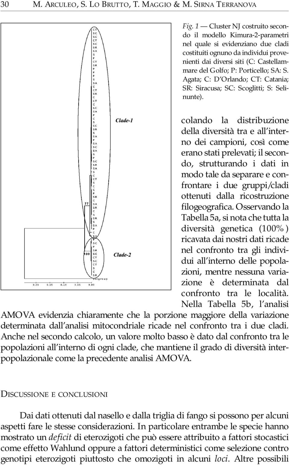 SA: S. Agata; C: D Orlando; CT: Catania; SR: Siracusa; SC: Scoglitti; S: Selinunte).