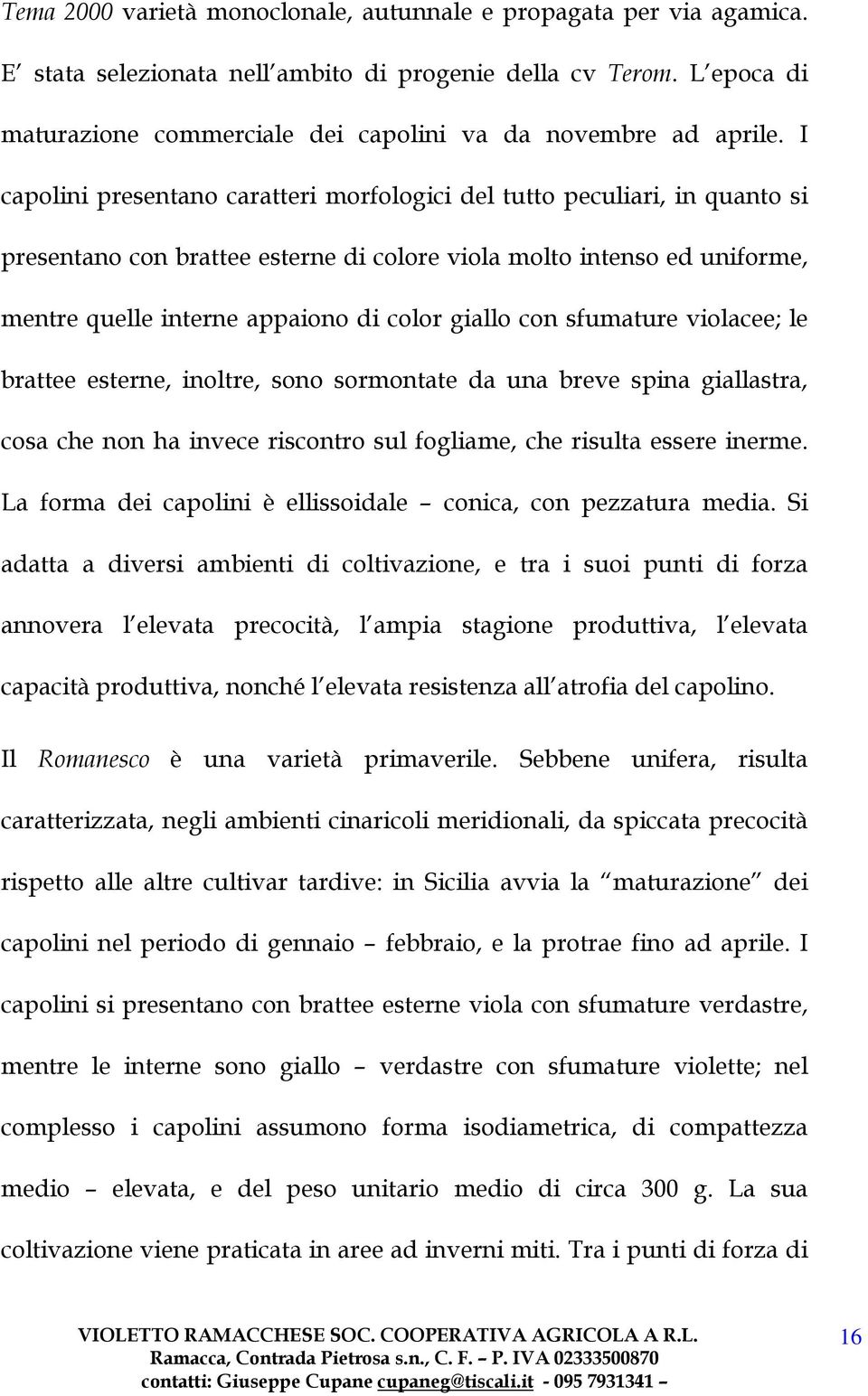 I capolini presentano caratteri morfologici del tutto peculiari, in quanto si presentano con brattee esterne di colore viola molto intenso ed uniforme, mentre quelle interne appaiono di color giallo